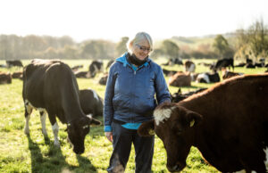 International Women's Day. Mary Quicke. Mary is standing is a field of cows wearing a blue coat. She is stroking a brown cow and smiling. 